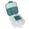 Lunchbox, Emerald Forest, b.box
