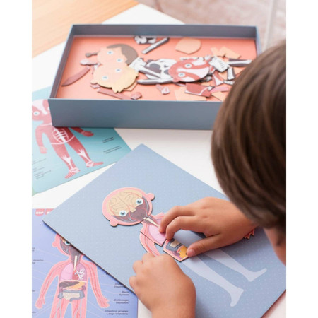 Magnetyczna układanka Apli Kids - Ciało człowieka