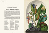 Animalium. Muzeum Zwierząt wyd. Dwie Siostry