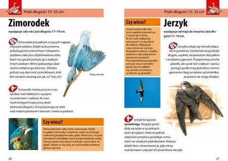 Mój pierwszy przewodnik. Jaki to ptak?