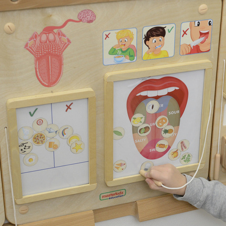 MASTERKIDZ Tablica Edukacyjna Zmysł Smaku