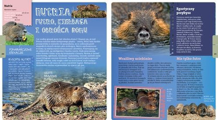 Michał Brodacki opowiada o zwierzętach nad wodą