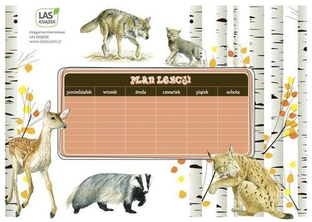 Leśna kolorowanka. Zwierzęta