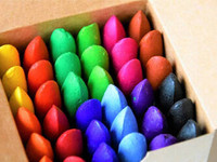 Kredki Starszaka 12 kolorów (36 szt) 3+ Coloresca