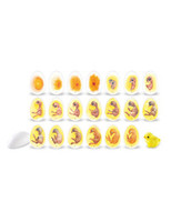 Learning Resources | Cykl życia kurczaka LERLER2733