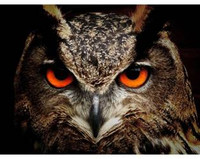 Diamentowa Mozaika 38x27cm Sowa