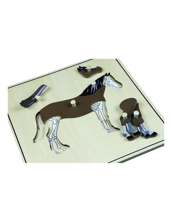 Moyo Montessori | Puzzle ze zwierzętami - Szkielet konia BIO0173_B014