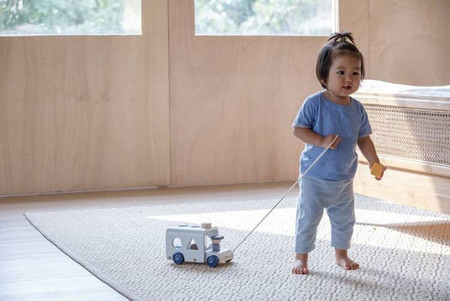 Autobus - sorter - barwy sadu