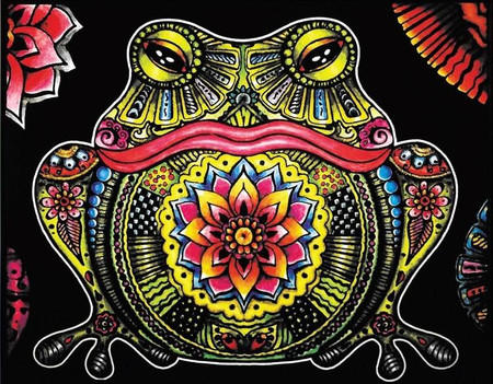 Kolorowanka Welwetowa 47x35 Żaba