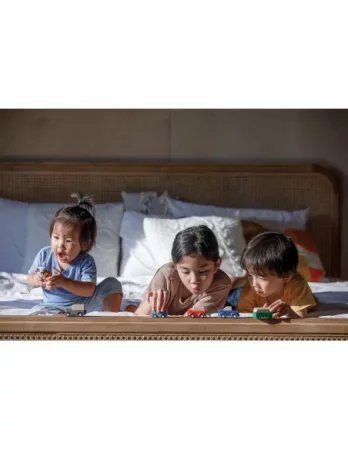 PlanToys | PlanWorld samochodziki PT6285