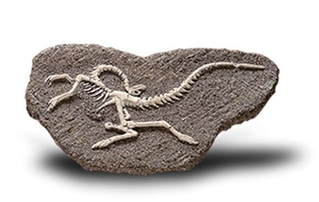 Bones&More, Duży szkielet dinozaura - wykopalisko na kamieniu