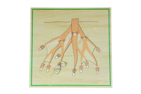 Moyo Montessori | Puzzle – korzeń BIO_B038