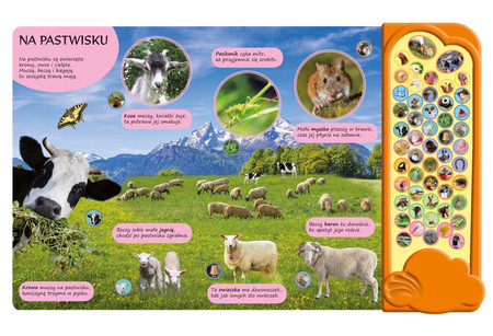 Książka z odgłosami zwierząt, Na wsi