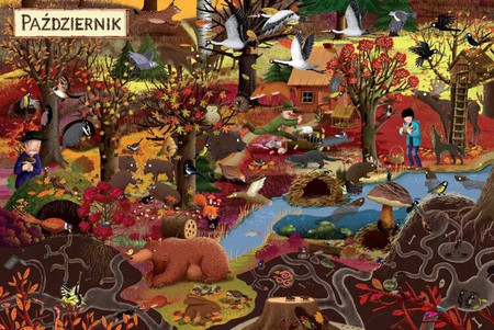 Rok w lesie wyd. Nasza Księgarnia