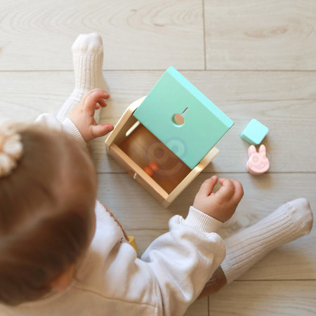 CLASSIC WORLD Pastelowy Zestaw dla Niemowląt Box Pierwsze Zabawki do Nauki od 6 do 12 miesiąca