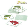 Karty z obrazkami Drzewa Flashcards Trees