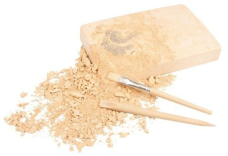 Bones&More, Duży szkielet dinozaura - wykopalisko na kamieniu