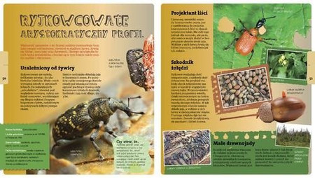 Wojciech Gil opowiada o leśnych rodzinach