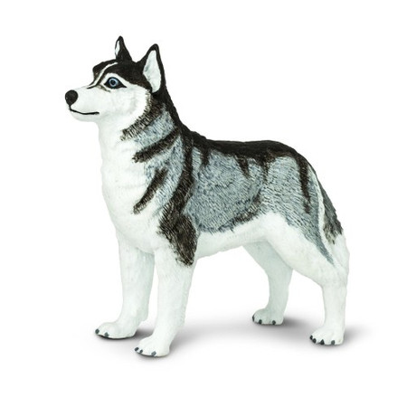 S255229 Pies Husky Syberyjski. Figurka Safari Ltd.