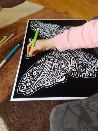 Kolorowanka Welwetowa 47x35 Motyl