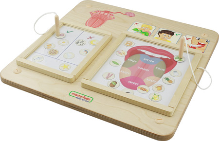 MASTERKIDZ Tablica Edukacyjna Zmysł Smaku