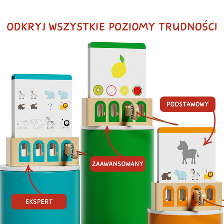 Logiczne łamigłówki, gra edukacyjna, poziom ekspert, Topbright