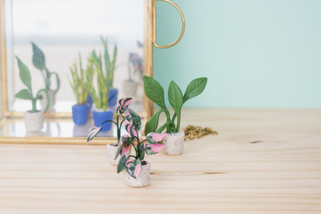 Zestaw z glinką polimerową Mini Roślinki