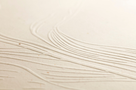 Notes na spirali A4 Tulip paper