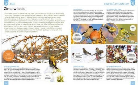 Przyroda ojczysta. Encyklopedia dla całej rodziny