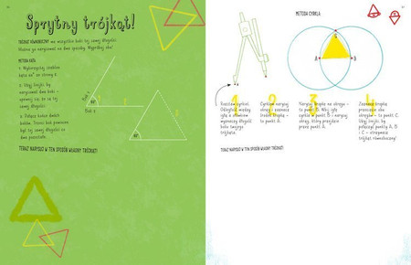To nie jest książka do matmy. Rysunkowe wyzwania dla bystrzaków