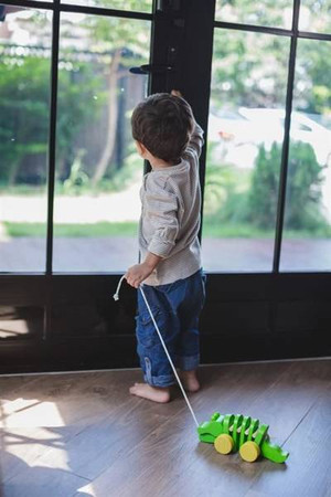 Drewniany krokodyl do ciągnięcia Plan Toys