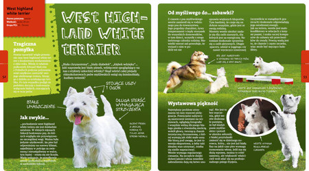 Marcin Gorazdowski opowiada o psach