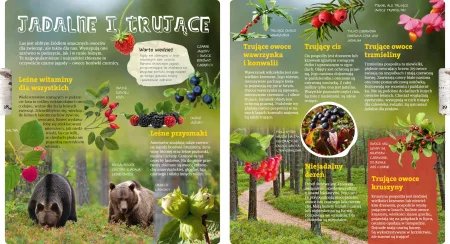 Wojciech Gil opowiada o lesie