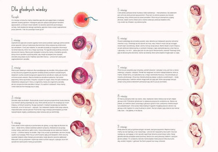 9 miesięcy. Od zarodka do noworodka!