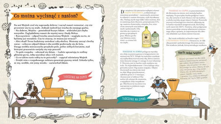 Ziarna, pestki, orzechy, czyli te niesamowite nasiona