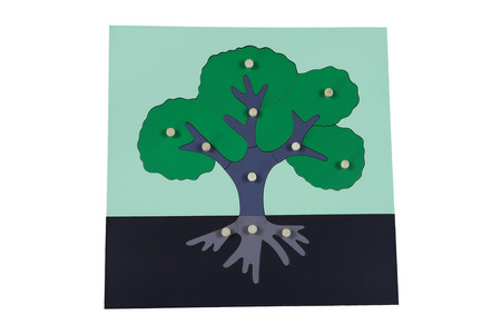 Puzzle botaniczne - drzewo