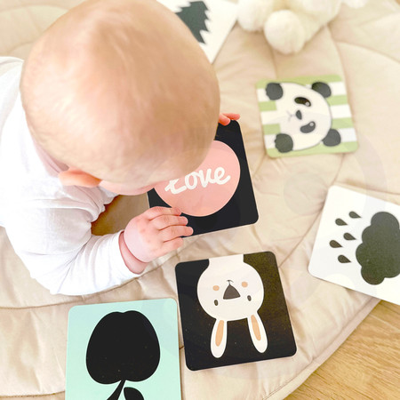 CLASSIC WORLD Pastelowy Zestaw dla Niemowląt Box Pierwsze Zabawki od 0 do 6 miesiąca