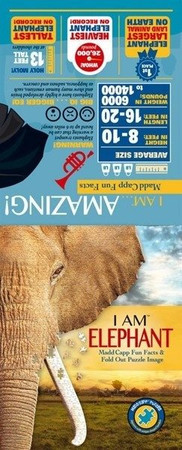 MADD CAPP, Puzzle konturowe I AM - Słoń 300 elem.