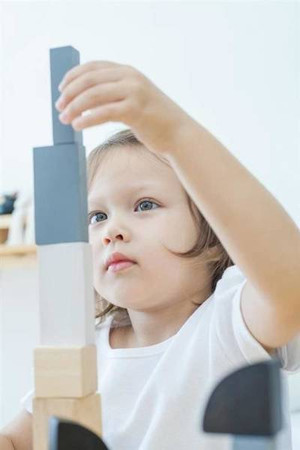 Części, ułamki, kształty, 15 elementów