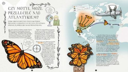 Gąsienice w czekoladzie. I inne tajemnice motyli