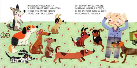 Liczypieski Ewa Kozyra-Pawlak wyd. Nasza Księgarnia