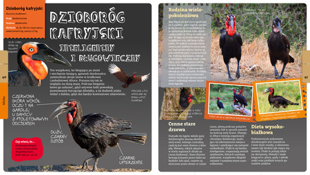 Andrzej Kruszewicz opowiada o ptakach świata