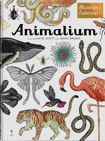 Animalium. Muzeum Zwierząt wyd. Dwie Siostry
