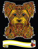 Kolorowanka Welw. A4 Yorkshire Terrier
