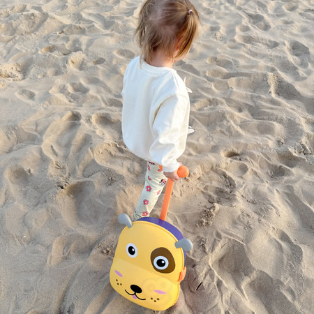 WOOPIE Zestaw do Piasku 3w1 Walizka Piesek + Zabawka Wodna