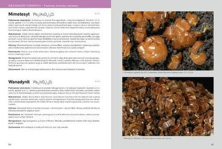 Atlas minerałów wyd. Multico