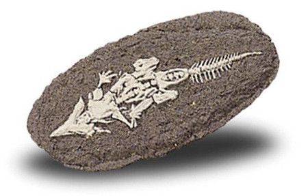 Bones&More, Duży szkielet dinozaura - wykopalisko na kamieniu