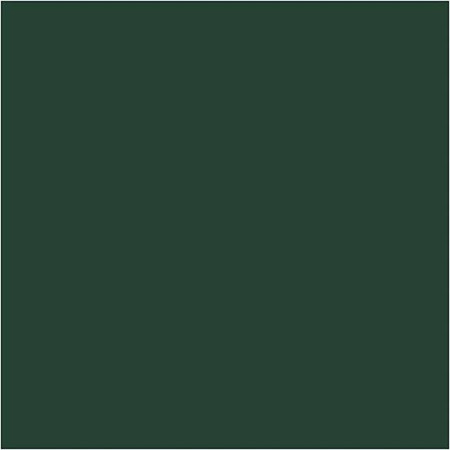 Farba PLUS Color 60 ml Ciemna Zieleń