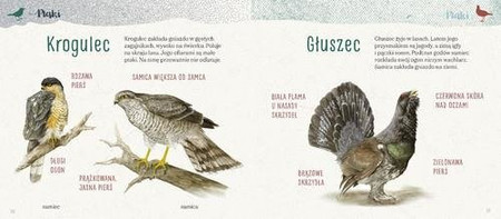 Elementarz naszej przyrody. Zwierzęta