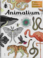 Animalium. Muzeum Zwierząt wyd. Dwie Siostry